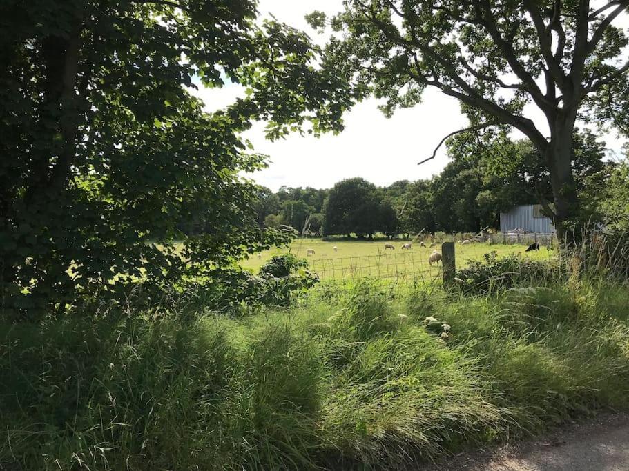Betty'S Cottage - Traditional Norfolk Farm Cottage Swafield Buitenkant foto